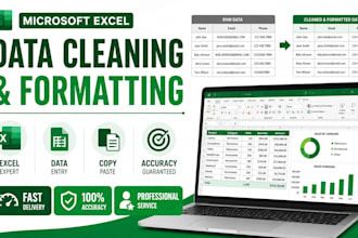 do microsoft excel data entry, data cleaning, and formatting