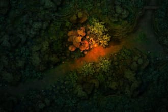 create a custom fantasy battlemap