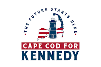 do professional political campaign, election and patriotic logo