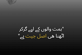 design aesthetic urdu quotes, islamic and motivational posters