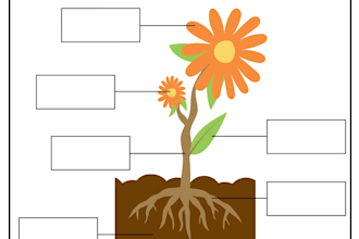 design creative montessori worksheets and lesson plans