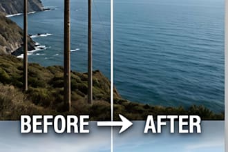 remove unwanted objects and people from your photos professionally