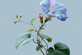 create botanical artwork of plants and flowers