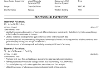 create a professional and budget friendly cv and cover letters