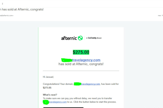 audit your domain portfolio and provide expert feedback