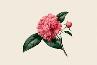 do botanical illustration of flower illustration logo
