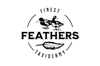 design a professional duck logo for your brand or business
