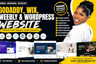design, redesign, develop godaddy, wix, weebly and seo wordpress website