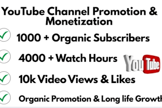 do youtube channel promotion for channel growth video marketing, monetization