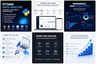 perform python data analysis, cleaning, and visualization