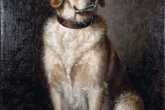paint custom pets portrait in real oil painting on canvas
