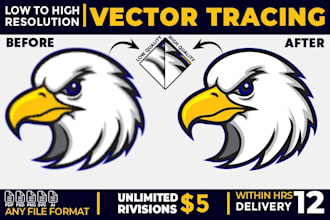 edit logo, redesign, recreate, or convert vector
