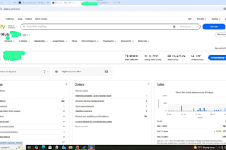 manage ebay store with drop shipping and stock model