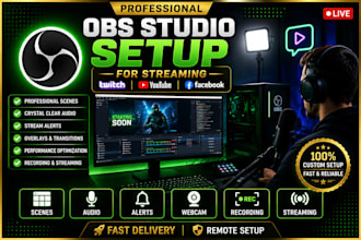 create a professional obs studio setup for streaming