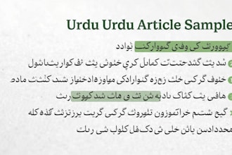 write SEO urdu blog posts and website content