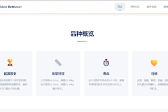 build a simple website, mini program or automation script