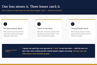 audit your data to find real VIP and churning customers
