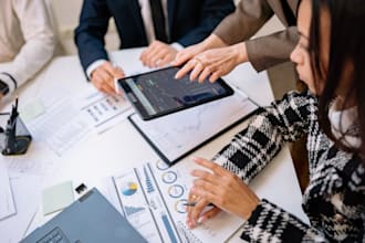 provide business consulting, analysis and solutions