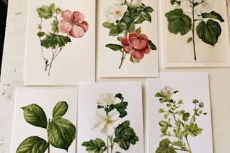 illustrate best botanical illustration