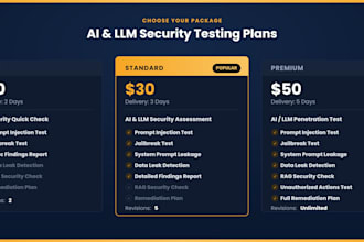 perform ai security testing and llm pentesting