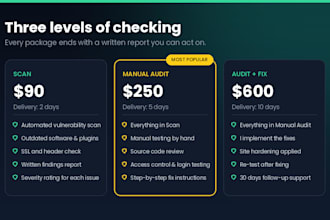 do a website security audit and vulnerability assessment