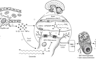 turn your sketch into a publication ready scientific figure