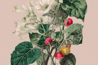 do a botanical illustration art