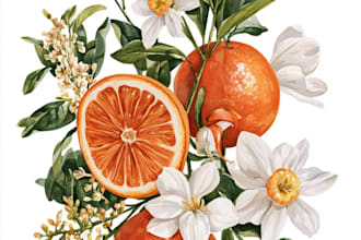make realistic scientific, anatomical botanical illustration