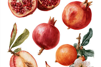 make botanical illustrations of flowers