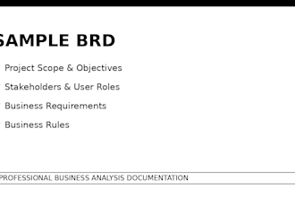 create professional brd and srs documentation for software