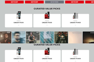 setup shopify store with custom design