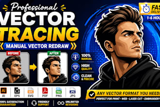 vector tracing, vector redraw, image to vector, vector recreate