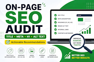 audit your website and provide on page SEO recommendations