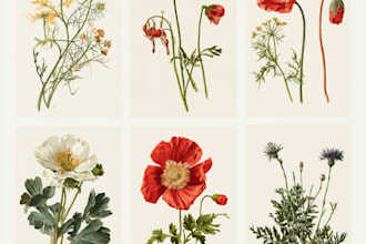do a botanical illustration