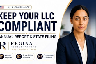 file your US llc annual report and help maintain compliance