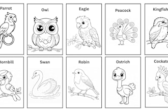 design custom kids birds coloring book pages for printable pdf