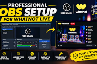 professionally set up obs for your whatnot livestream