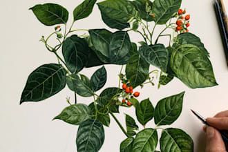 draw detailed botanical and floral illustrations