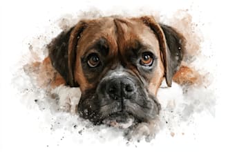 digital watercolor pet portrait art