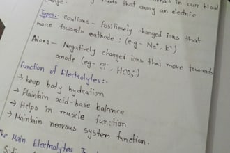 write anything with my beautiful and clean handwriting