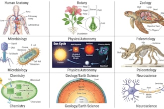 draw anatomy and medical vector illustration