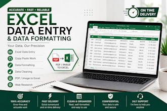 do excel data entry, spreadsheet formatting and data cleaning