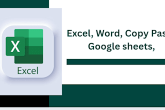 do professional data entry and excel work for you