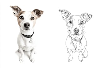 create stunning vector line art of your pet portrait