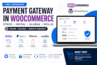 integrate payment gateway API stripe paypal klarna mollie woocommerce wordpress