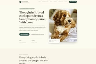 build you a free website