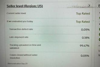 create SEO optimized ebay product titles and listings