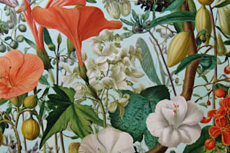 draw fineline botanical delicate flowers