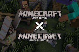 provide professional minecraft building, java scripting, art, and video editing
