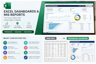 create professional excel reports, mis and dashboards